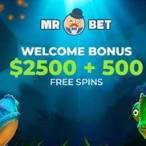 mr bet casino nz